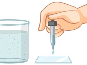 1 Gram to Milliliter