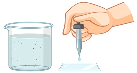 1 Gram to Milliliter