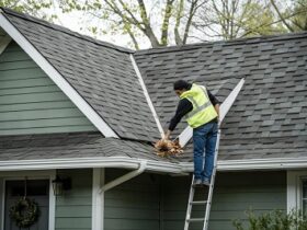 Roof Care