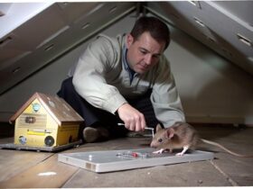 Crawlspace Maintenance