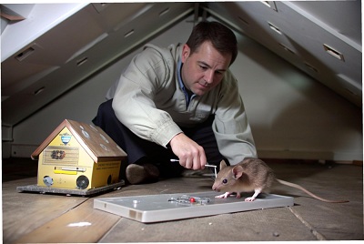 Crawlspace Maintenance