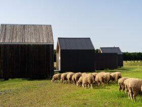 Prefab Barns