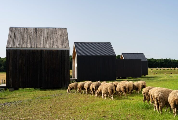 Prefab Barns