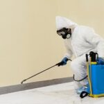 Mold Prevention