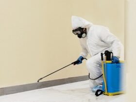 Mold Prevention