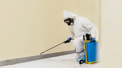 Mold Prevention