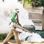 Mosquito Control Service