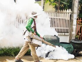 Mosquito Control Service